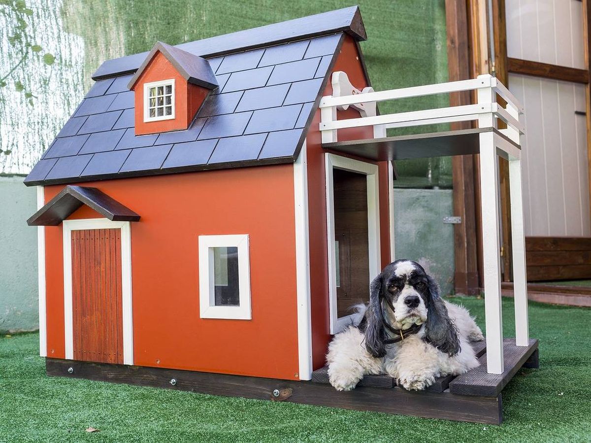 Kent Altoparlante continuar Las mejores casetas para perros de madera y plástico para exteriores y  jardines