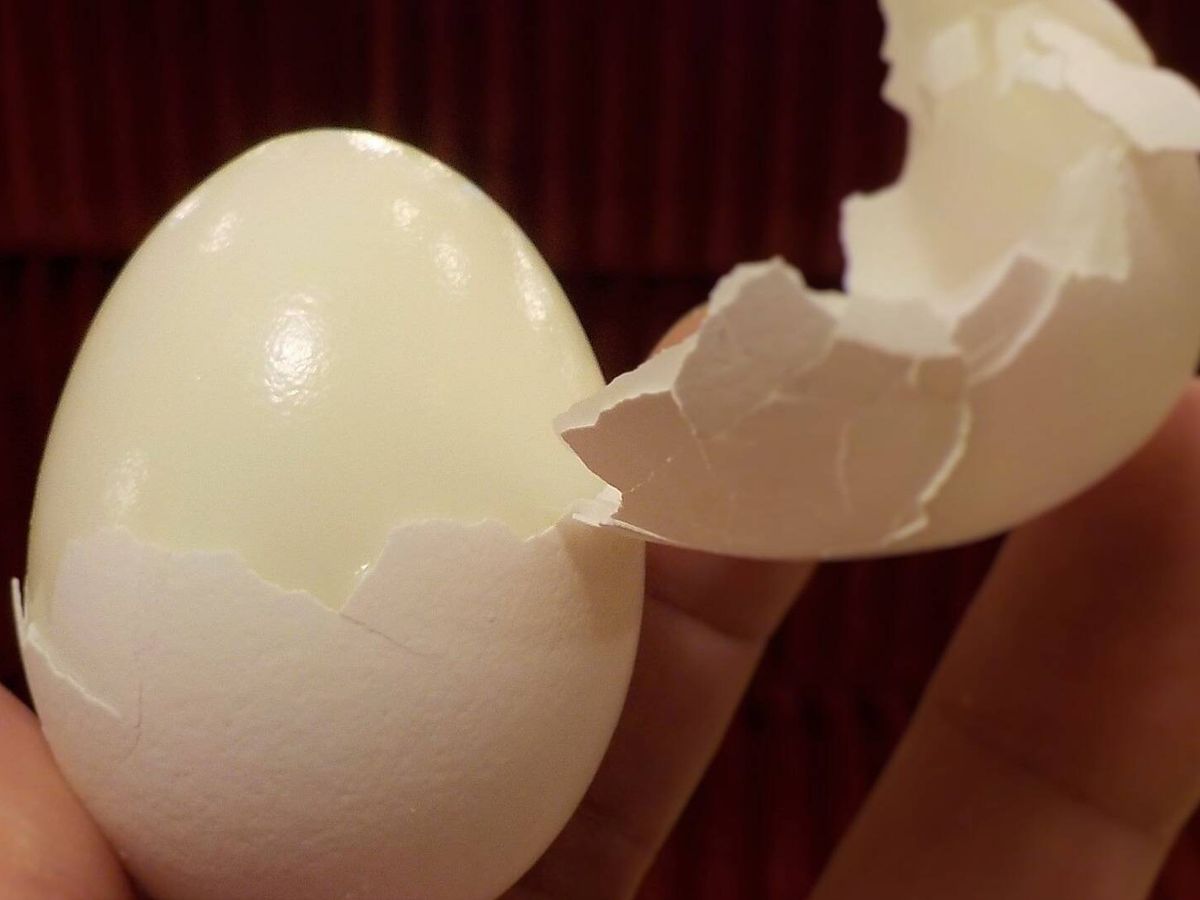 Foto: Trucos para pelar fácilmente los huevos duros y quitar la cáscara sin llevarse nada (happyrich358 para Pixabay)