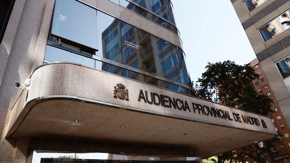 La Audiencia de Madrid confirma la condena a dos años a la expresidenta de Infancia Libre