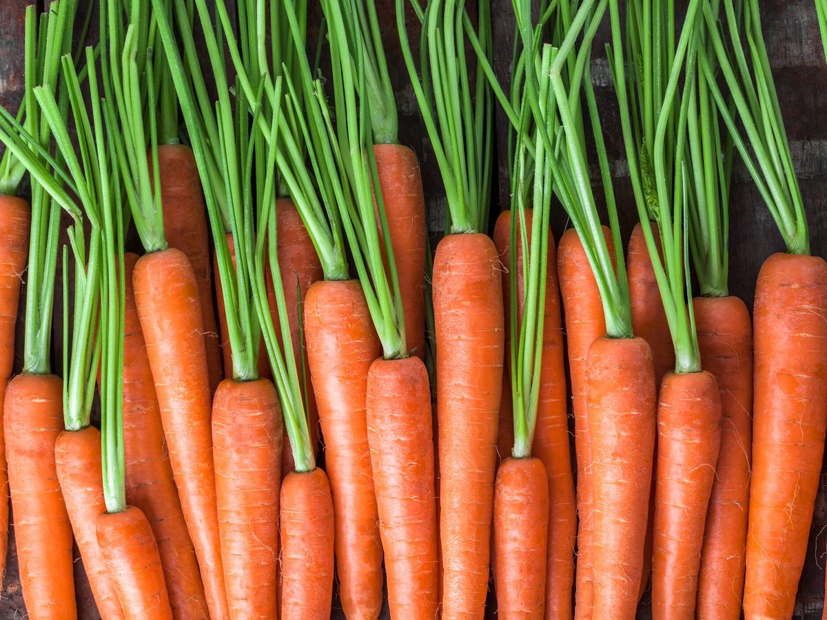 Foto:  Las zanahorias son ricas en carotenoides, en especial β-caroteno, fuente de provitamina A. (iStock)