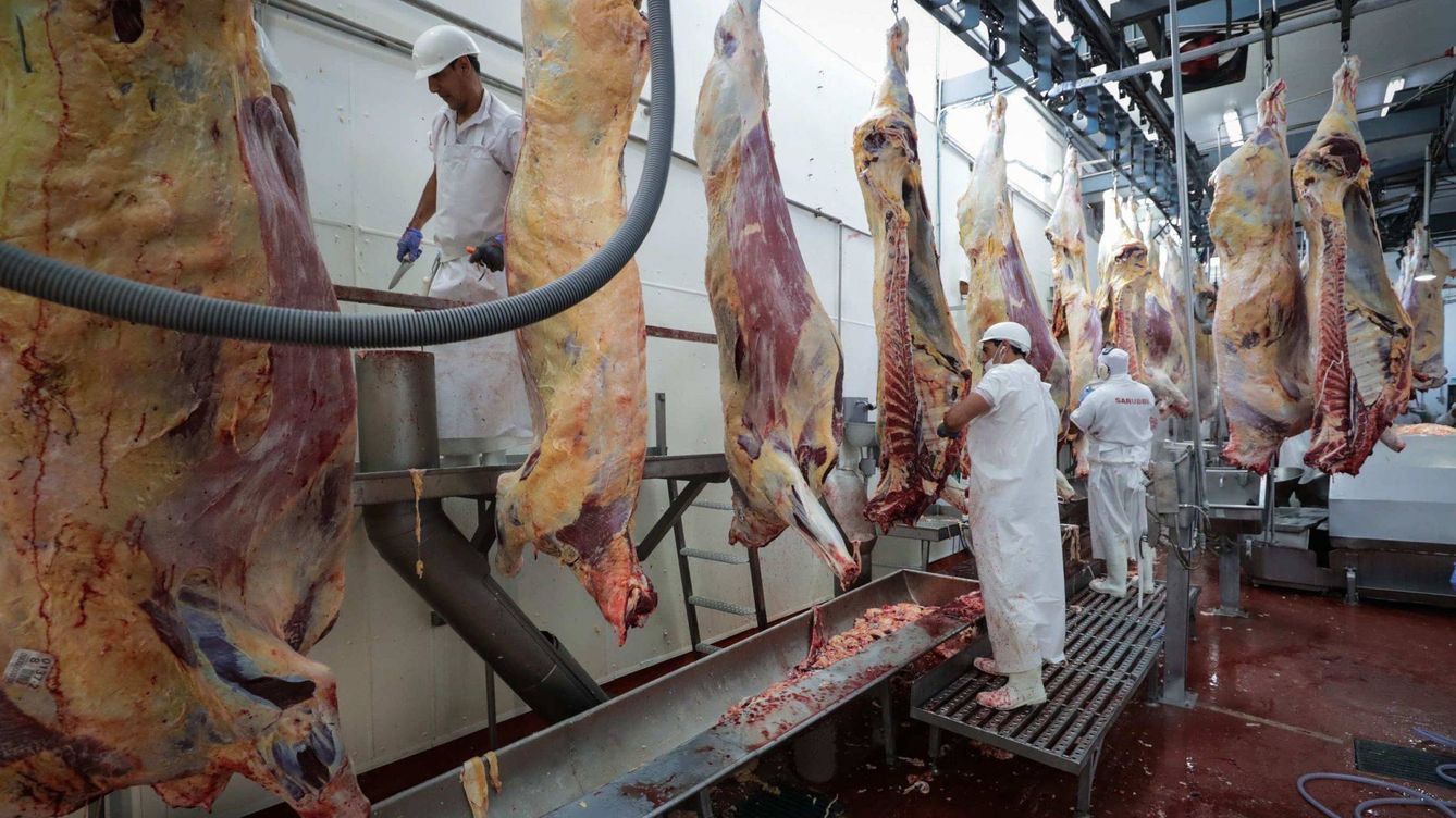 Los pecados ocultos de la carne: cómo el sector se convirtió en un foco global del virus