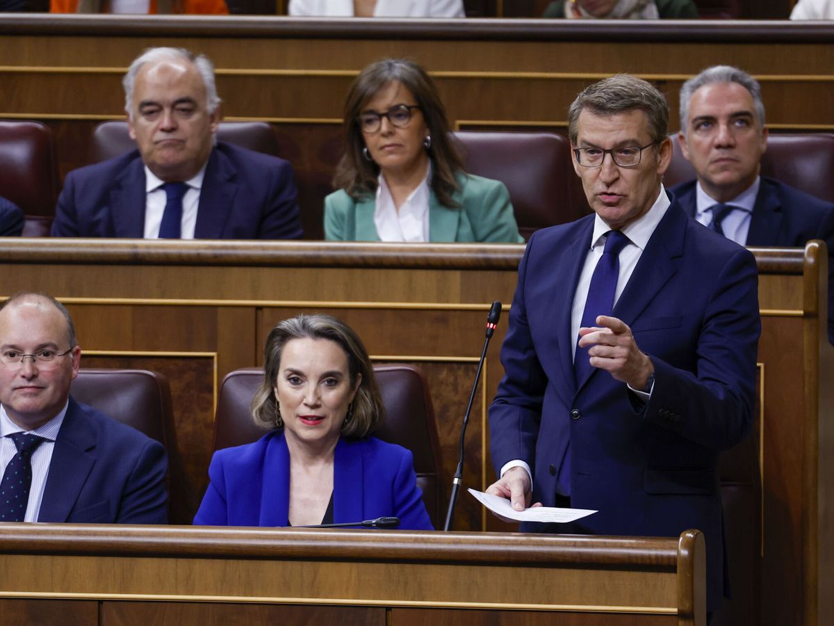 Foto: El líder del PP, Alberto Núñez Feijóo, durante la sesión de control al Gobierno. (EFE/Javier Lizón)