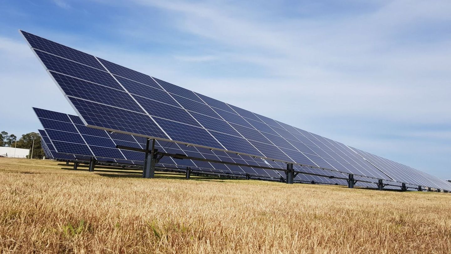 Paneles de generación solar fotovoltaica. (EFE)