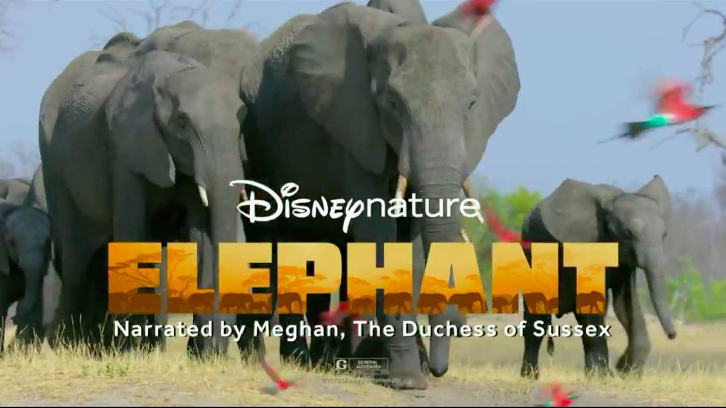 Trailer del documental 'Elephant'. (Disney Nature)