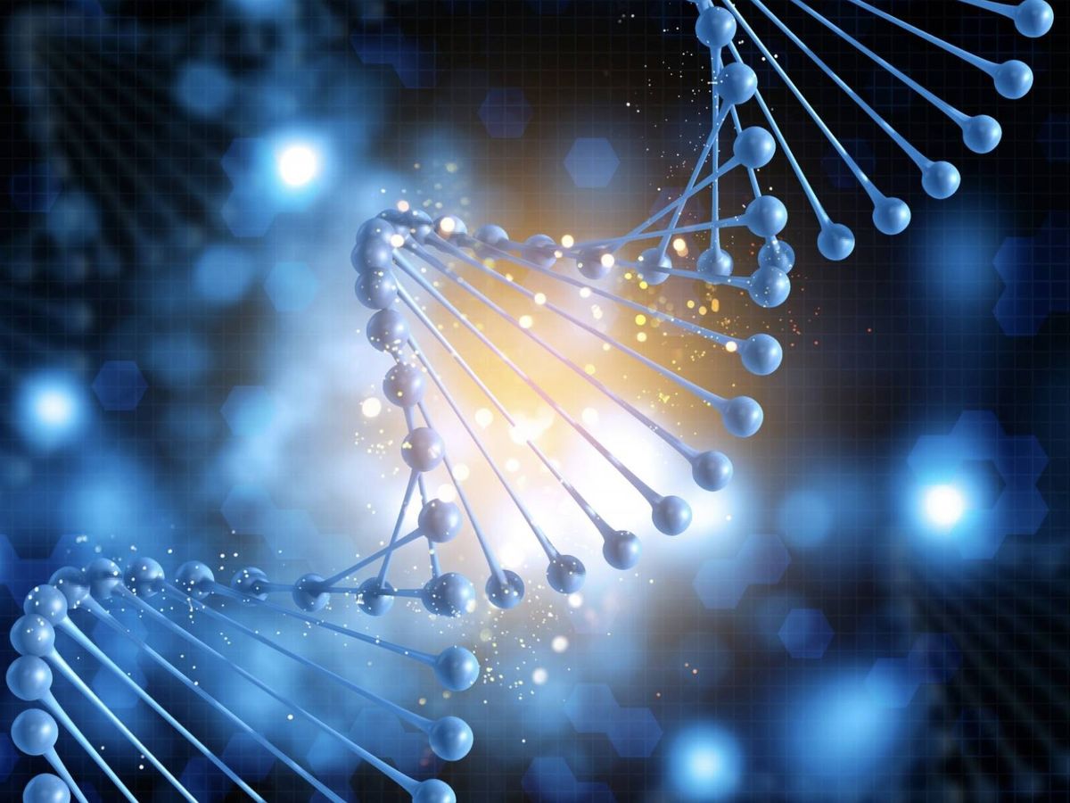Pesquisadores identificam no DNA de antigos habitantes do Japão adaptações genéticas ao frio extremo