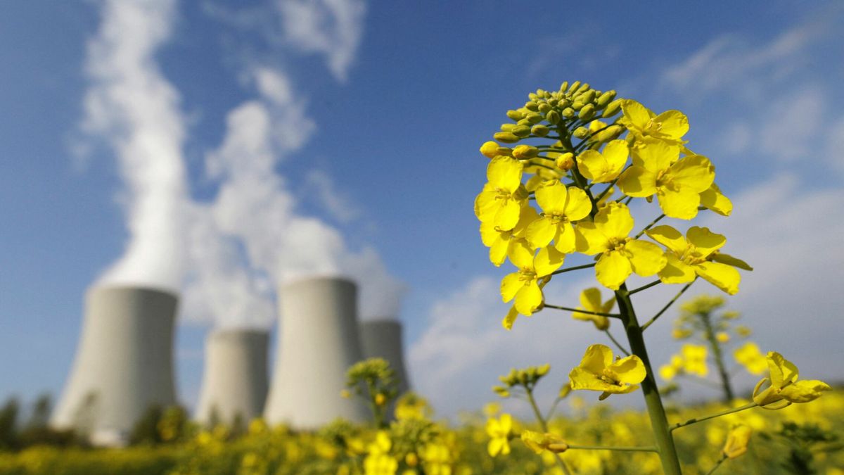 ¿Nuclear y gas 'verdes'? La salomónica vía que Bruselas se ha visto obligada a tomar