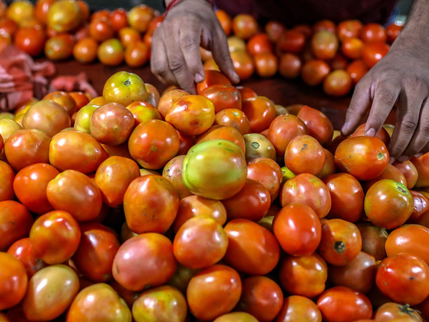 Una persona compra tomates en un mercado de verduras. (EFE/Divyakant Solanki)