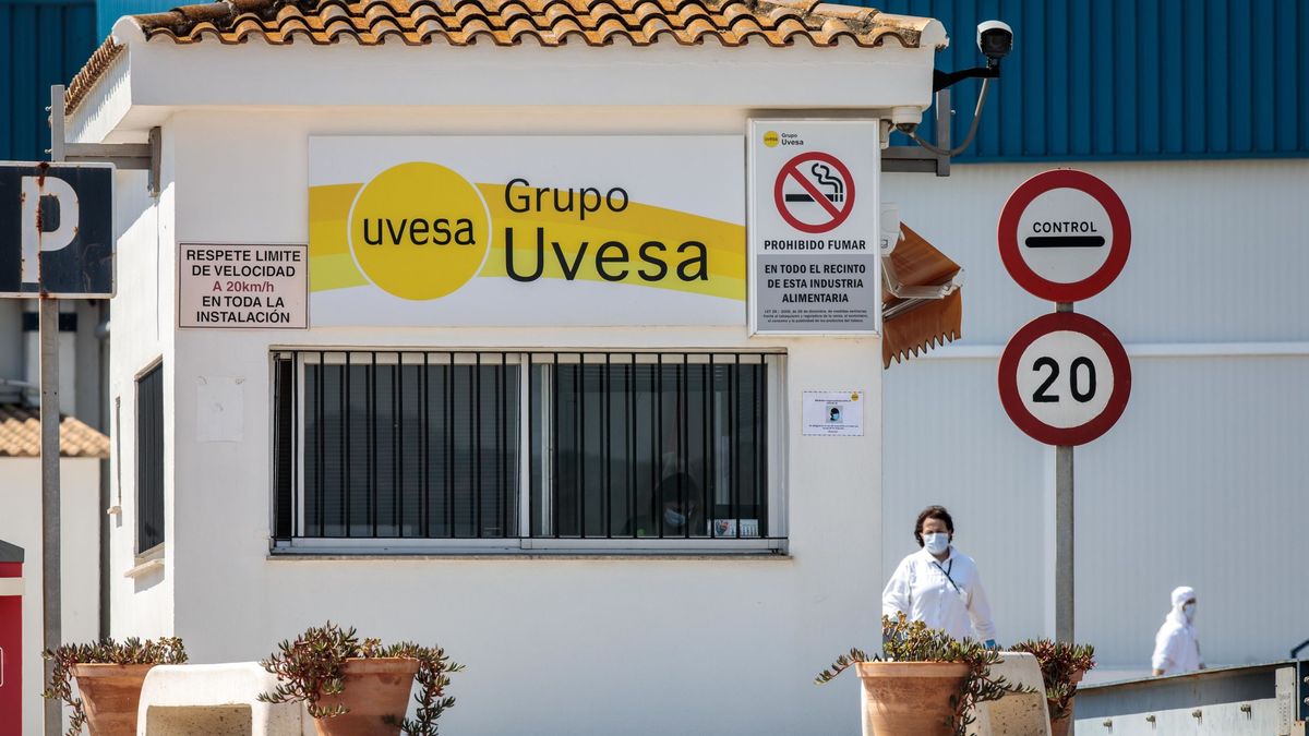Sanidad detecta siete casos más relacionados con el brote de Rafelbunyol (Valencia)