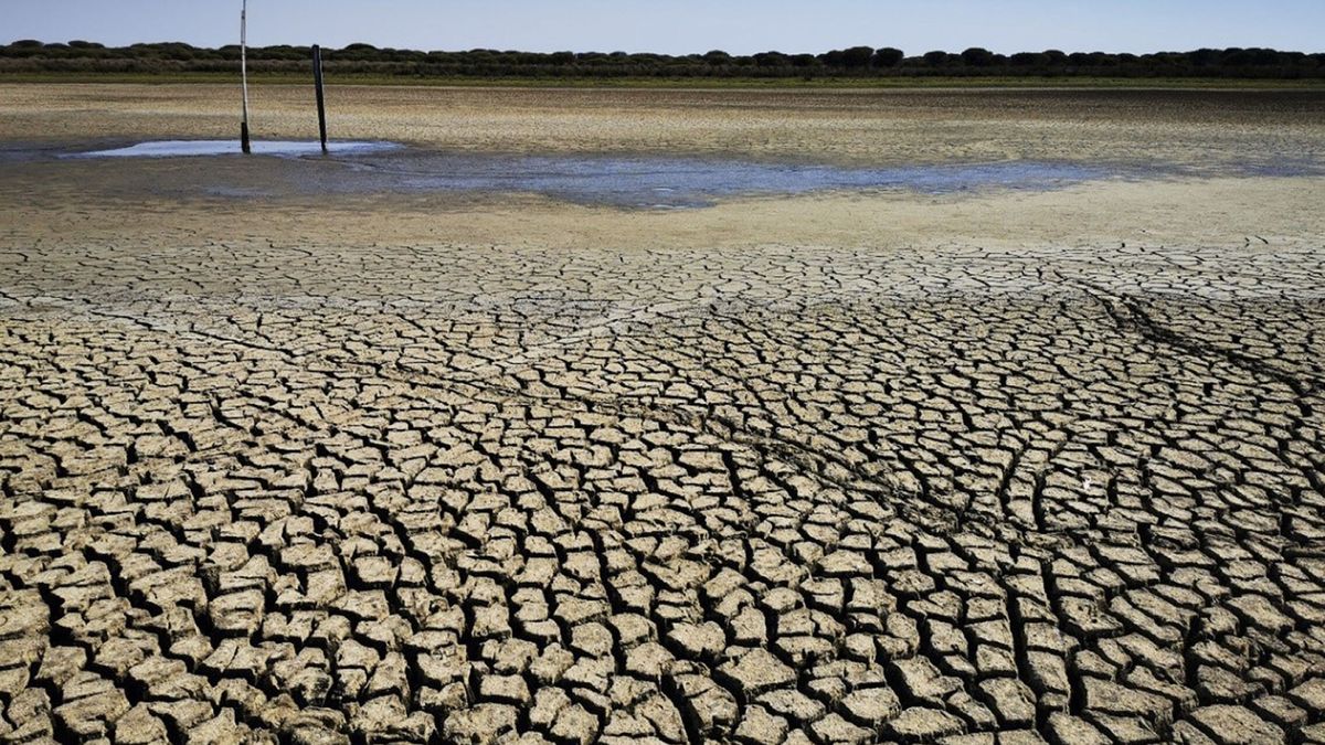 Andalucía, “defraudada” con el Gobierno, reclama a Sánchez obras “vitales” ante la sequía