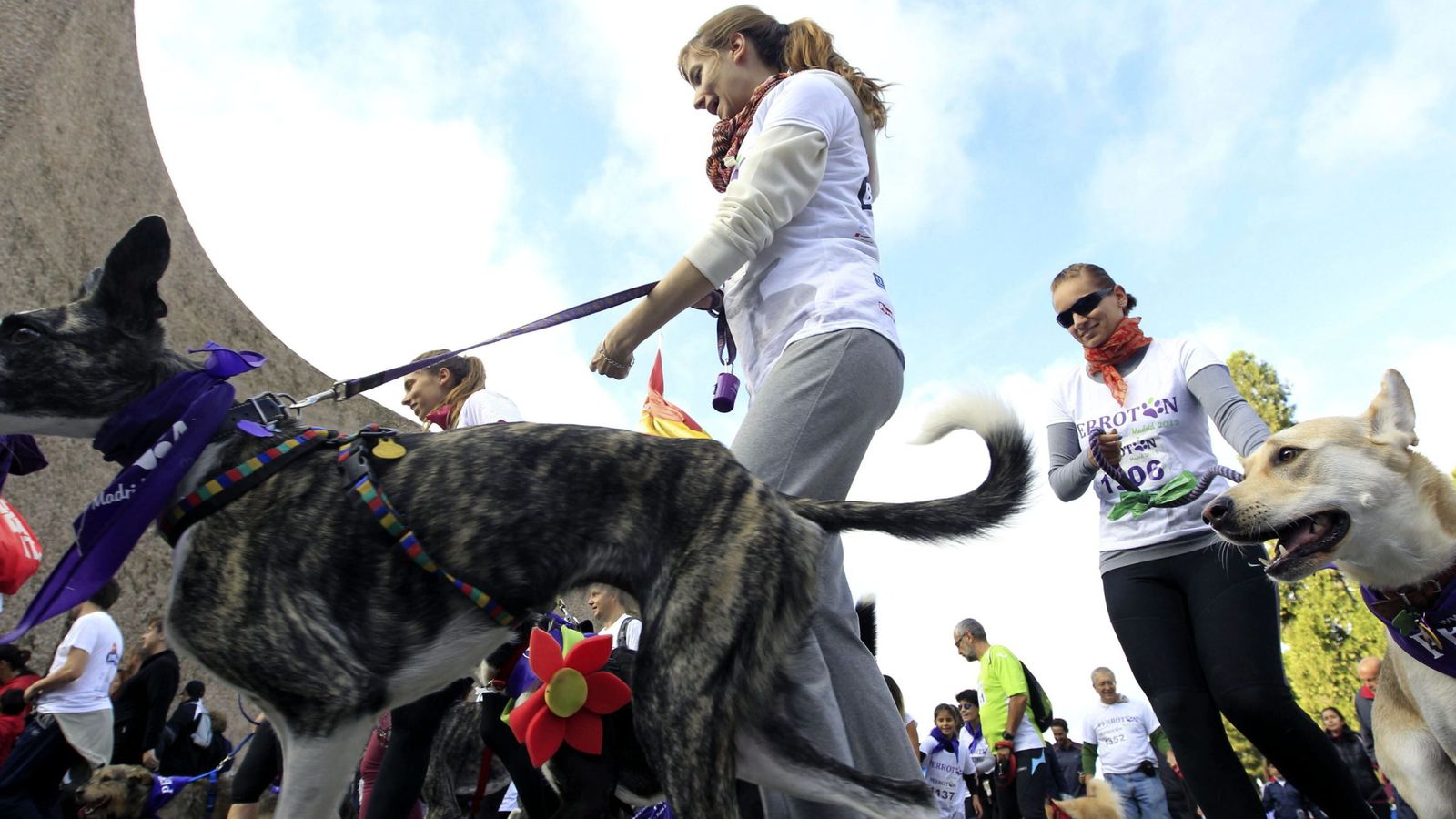 Foto: Propietarios de perros y sus mascotas, momentos antes de tomar la salida en 'Perrotón 2013', la mayor carrera de España de este tipo. (EFE)