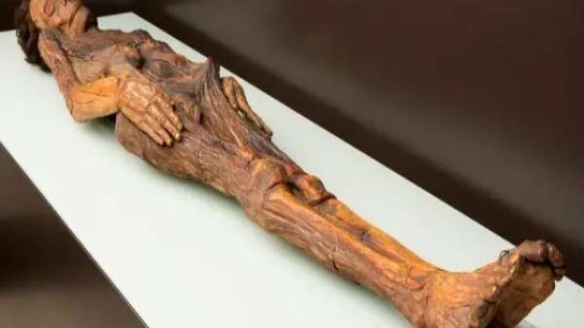 Canarias pide a Urtasun "descolonizar" el museo Arqueológico y que devuelva a las islas la momia guanche