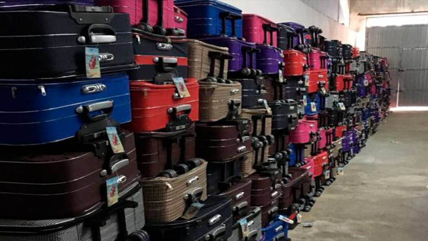 Arsenal de maletas incautadas que podían transportar hasta 5.000 kilos de angulas. (Seprona)