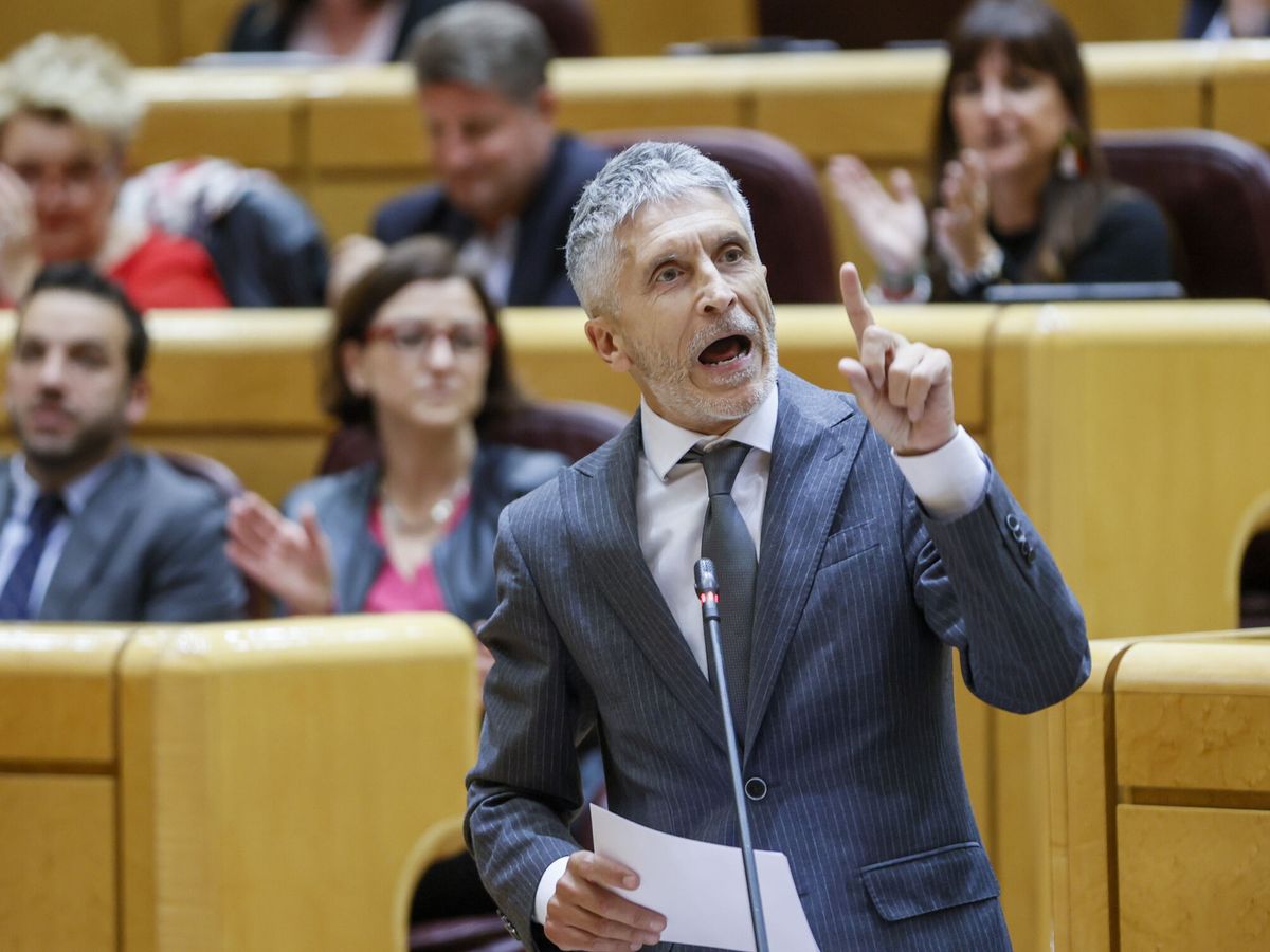 Foto: El ministro del Interior, Fernando Grande-Marlaska. (EFE/Mariscal)