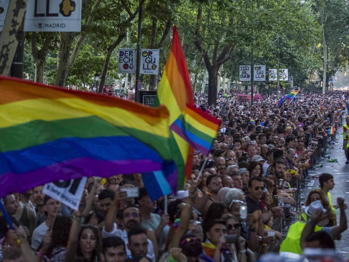 Foto: Detalle de un desfile del Orgullo Gay en Madrid. (EFE/Santi Donaire)