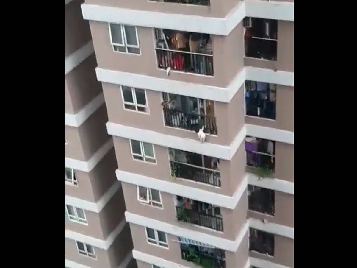 Foto: La niña se precipitó al vacío desde una altura de 12 pisos (YouTube)