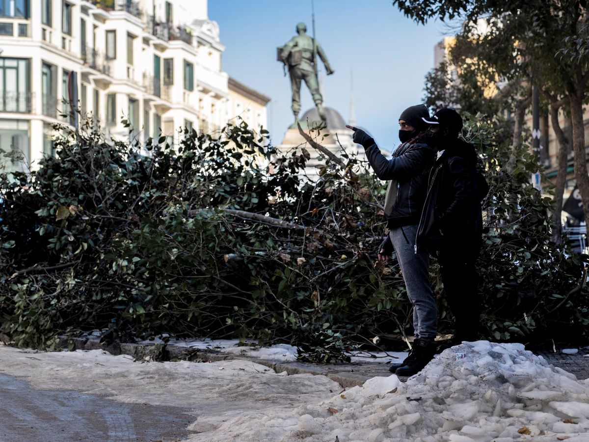 Foto: Árboles caídos y nieve en Madrid. (EFE)
