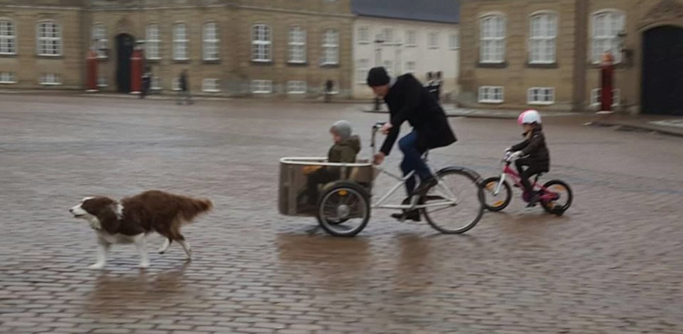 Foto: El heredero Federico de Dinamarca con sus hijos mayores de camino al colegio (Twitter)