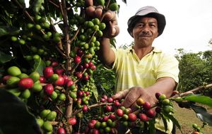 Un parque español para sacar todo el sabor al café de Colombia