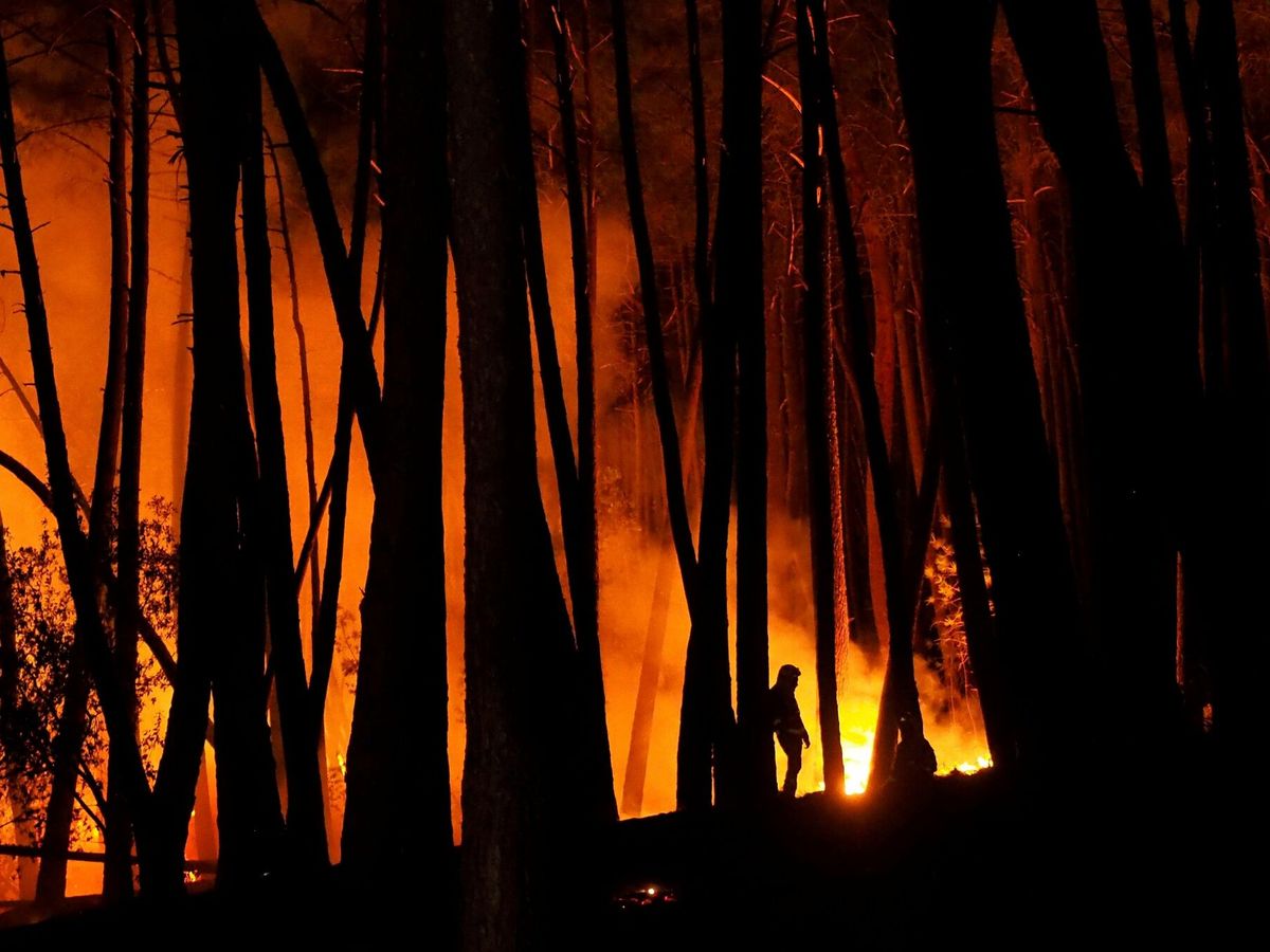 Foto: La UME en un incendio en una foto de archivo. (EFE)