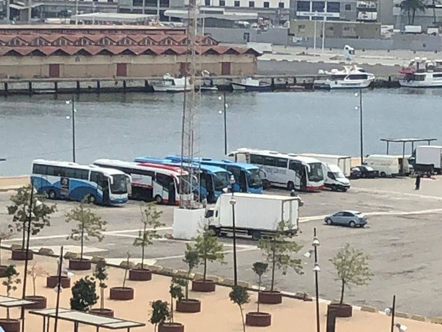 Autobuses marroquíes, en el puerto de Algeciras.
