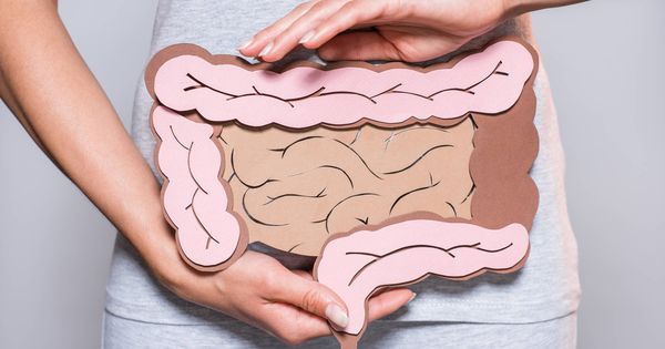 Foto: La oclusión del intestino es un grave problema digestivo. (iStock)