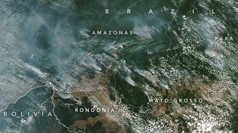 Arde el Amazonas: están quemando el pulmón del planeta