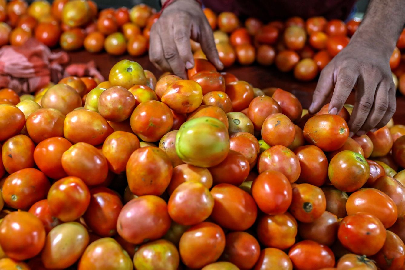 Una persona compra tomates en un mercado de verduras. (EFE/Divyakant Solanki)