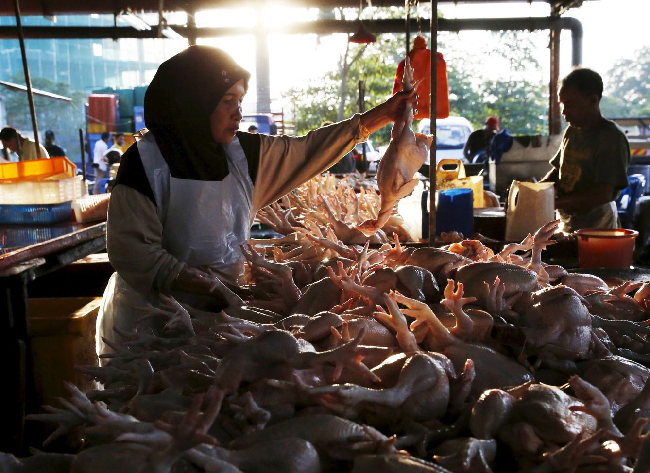 Una vendedora examina un pollo en un mercado de Kuala Lumpur, en enero de 2016. (Reuters)