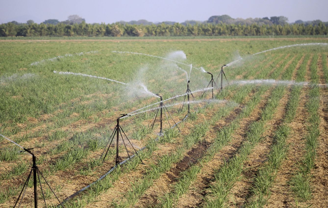 El 75% del consumo de agua se destina a riego agrícola. (EFE/G. Amador)