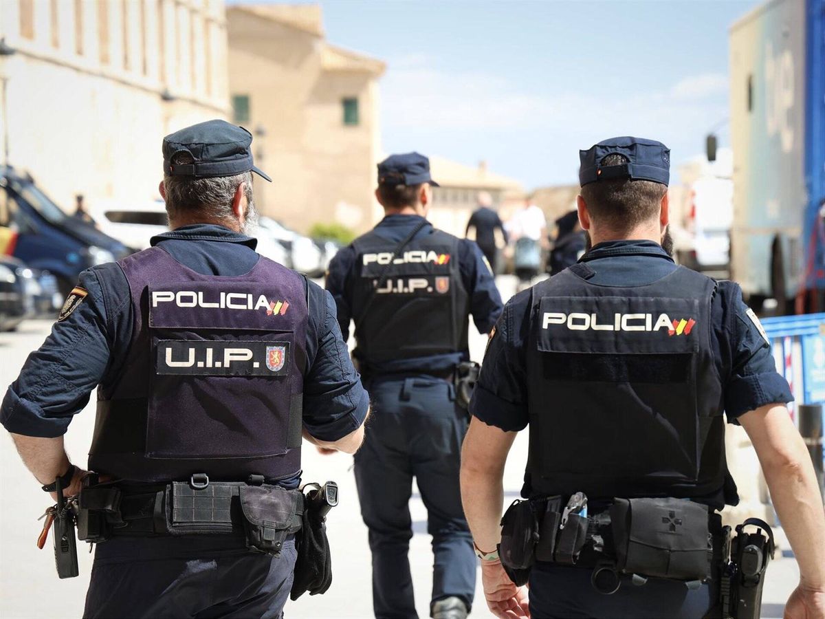 Foto: Imagen de archivo de Agentes de Policía Nacional de espaldas. (Europa Press)