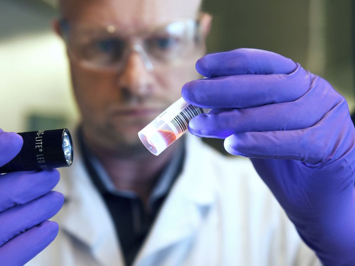Foto: Crean un método rentable para la detección temprana del cáncer en muestras de sangre. (EFE/Novartis)