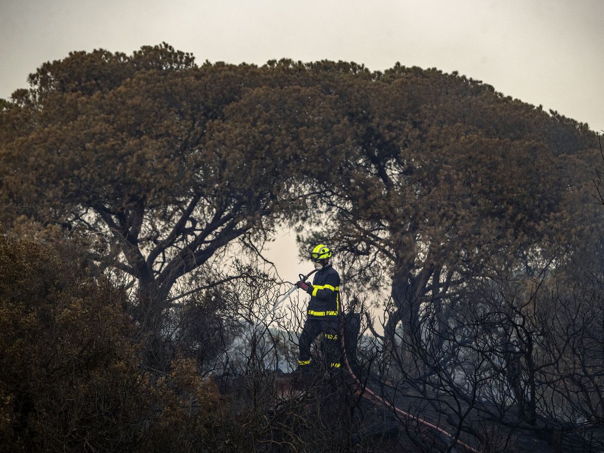 Foto: Vecinos y bomberos se afanan por apagar el incendio declarado en el paraje natural de las Canteras, en Puerto Real. (EFE/Román Ríos)