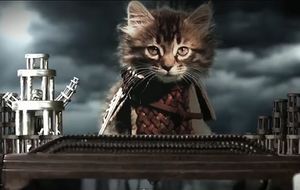 'Juego de Maullidos': la versión felina de los Siete Reinos de Poniente