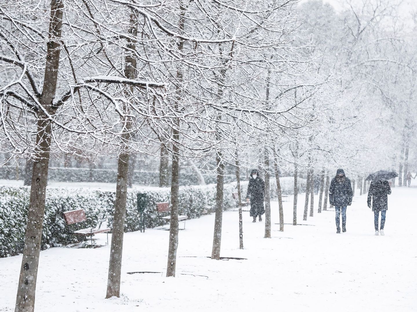 Varias personas pasean por el parque del Retiro durante una nevada en Madrid. (EFE) 