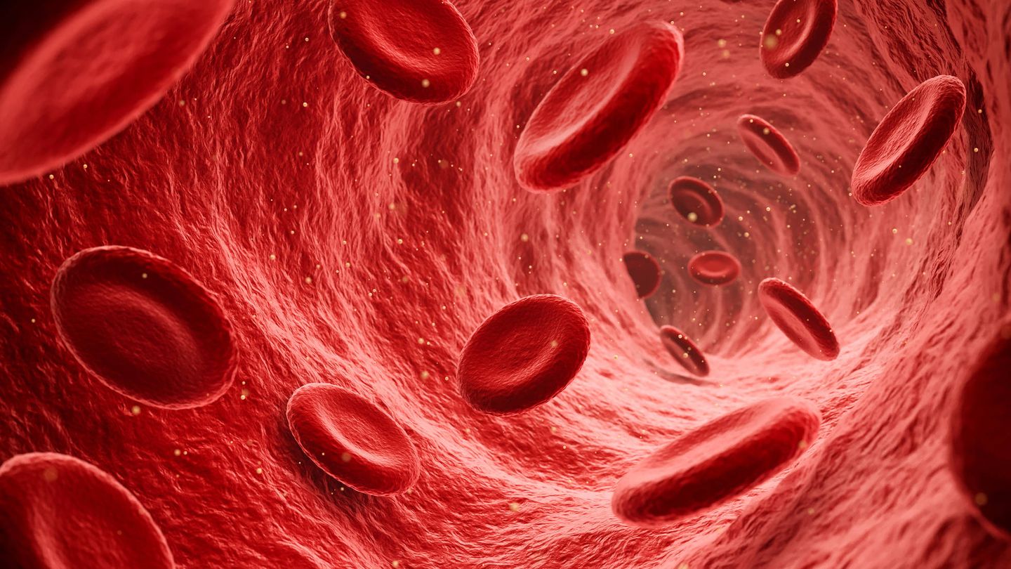 Glóbulos rojos por el torrente sanguíneo (Fuente: iStock)