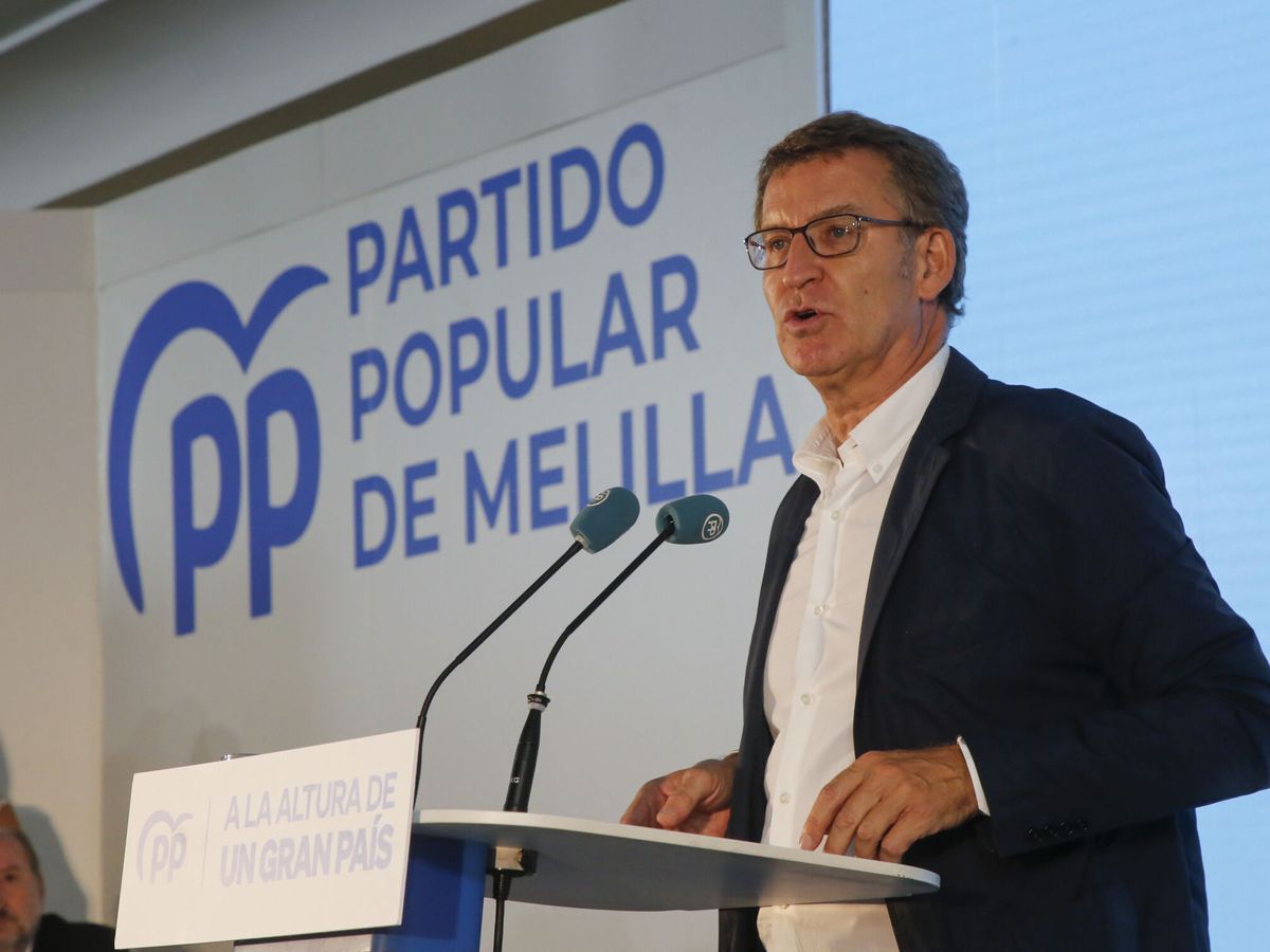 Foto: El líder del PP, Alberto Núñez Feijóo. (EFE/F. G. Guerrero)