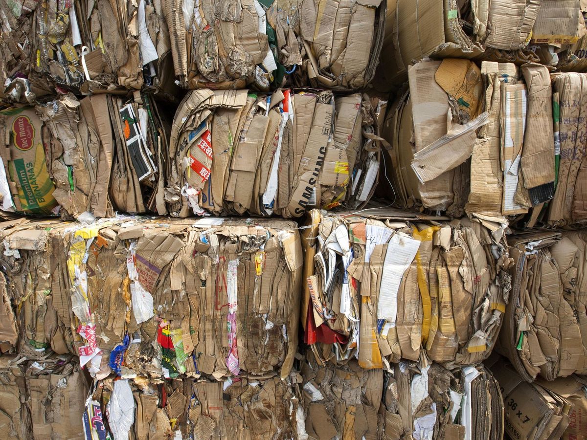 Foto: Fardos de cartón separado y listo para reciclar (EFE/A. Hofford)