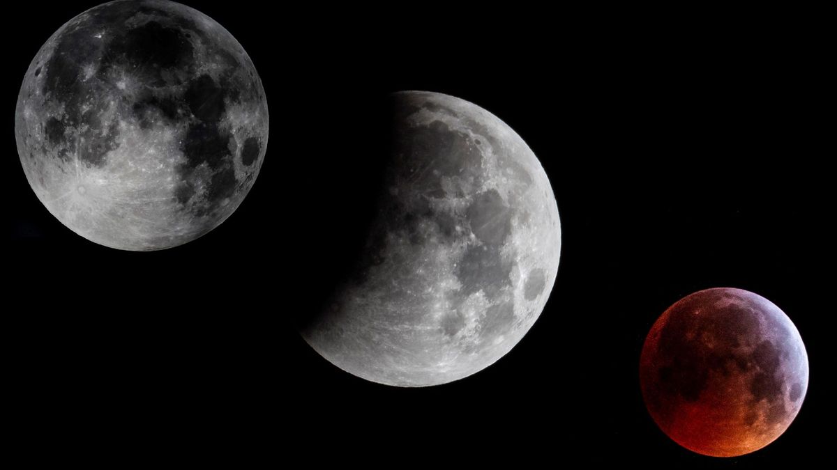 Un eclipse parcial para "celebrar" los 50 años del inicio del viaje del hombre a la Luna
