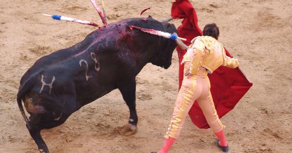 Foto: Imagen de archivo de una corrida de toros. (Getty)