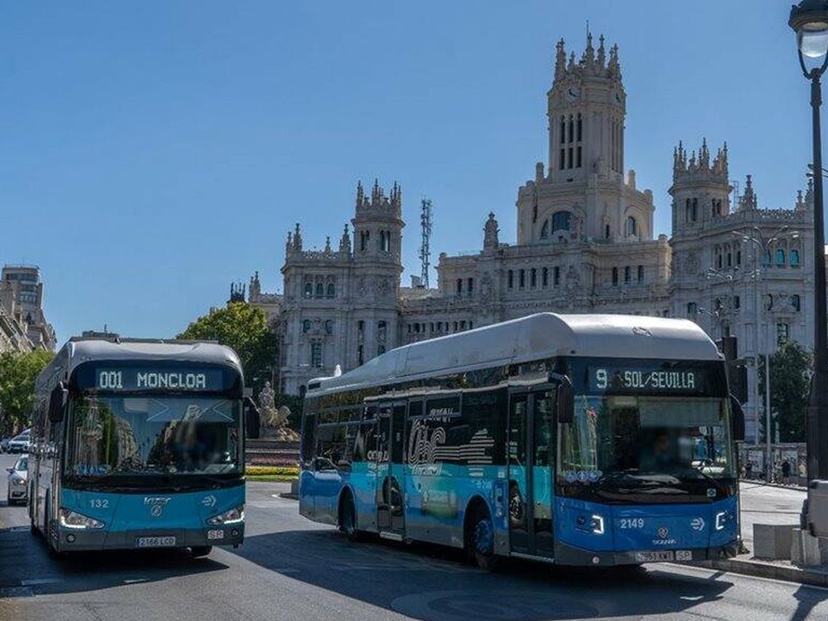 Foto: EMT refuerza su servicio de autobuses y cambia algunas rutas. (EMT Madrid)