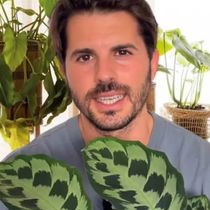 Foto: El experto en plantas, Álvaro Pedrera. (Instagram/ @ypikue)