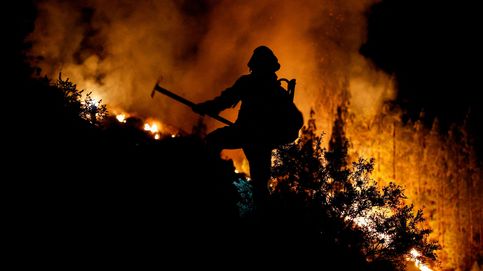 Está fuera de control: la UME trabaja contrarreloj en el fuego de Tenerife, que arrasa ya 2.600 ha