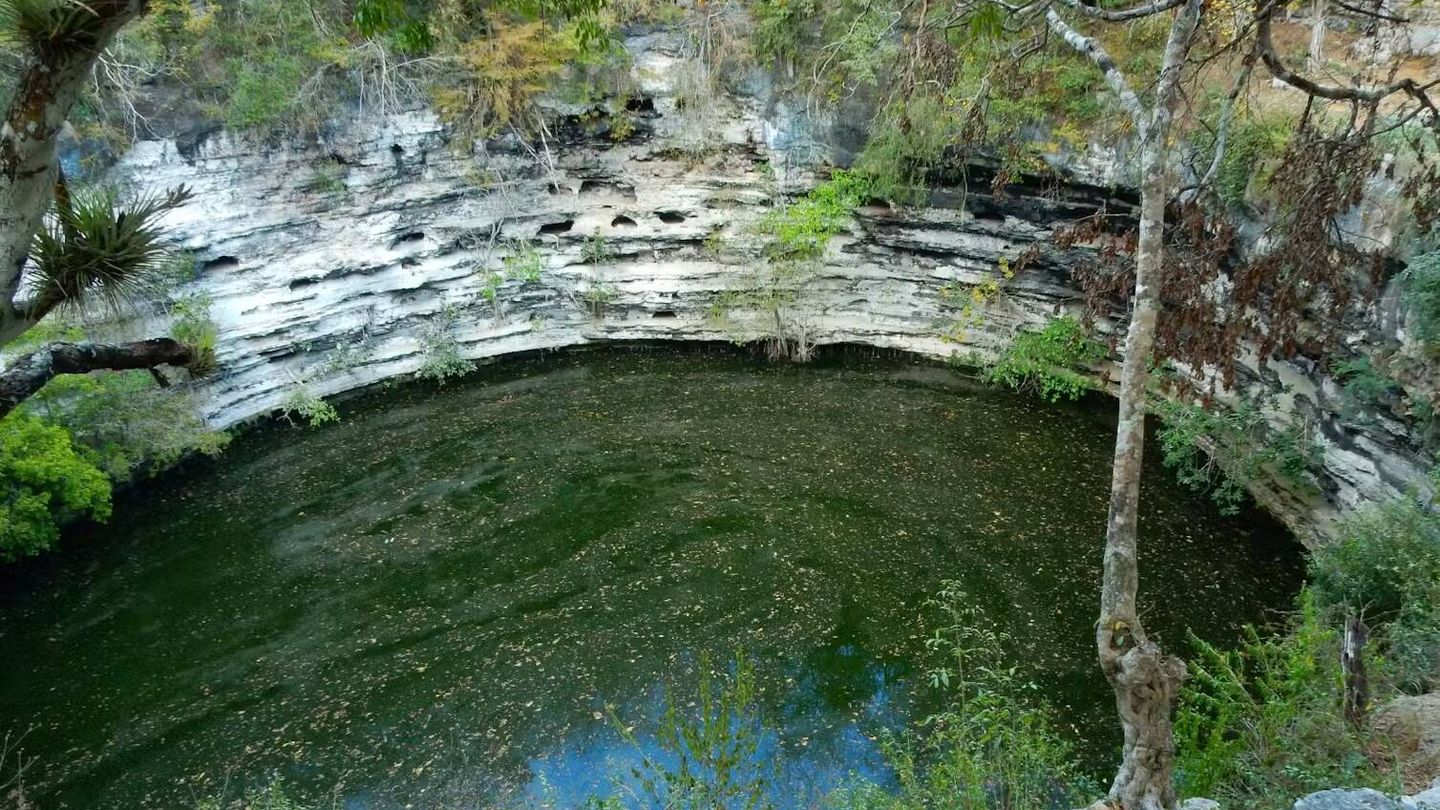 El Cenote Sagrado de Chichén Itzá. Según fuentes mayas y españolas posteriores a la conquista, los mayas depositaban objetos de valor y sacrificios humanos en el cenote como una forma de sacrificio al dios de la lluvia Chaac. (Rodrigo Barquera)