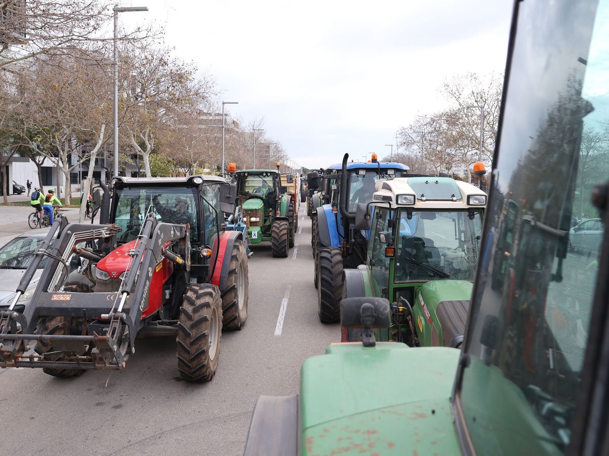 Foto: Décimo cuarta jornada de protestas de los tractores en las carreteras españolas para pedir mejoras en el sector