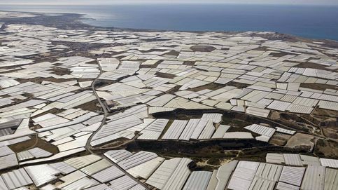 Sequía e inflación: ¿Ya no hay sitio para más invernaderos en Almería?