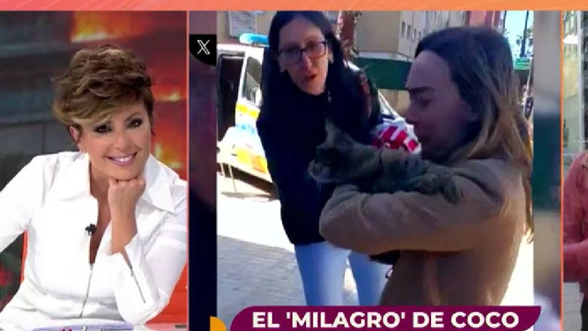 Andrea, dueña de 'Coco', el gato que ha sobrevivido al incendio de Valencia: "No me lo creo ni yo"