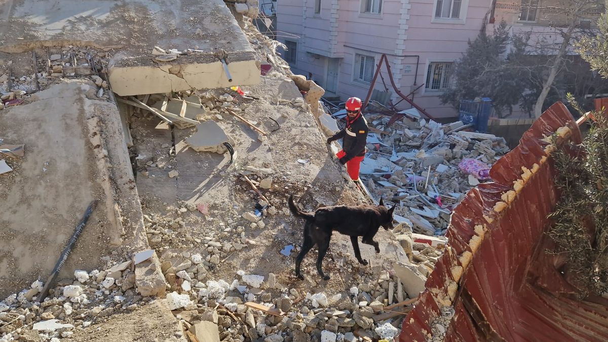 Bomberos valencianos rescatan con vida a un joven en un edificio de Adiyaman en Turquía