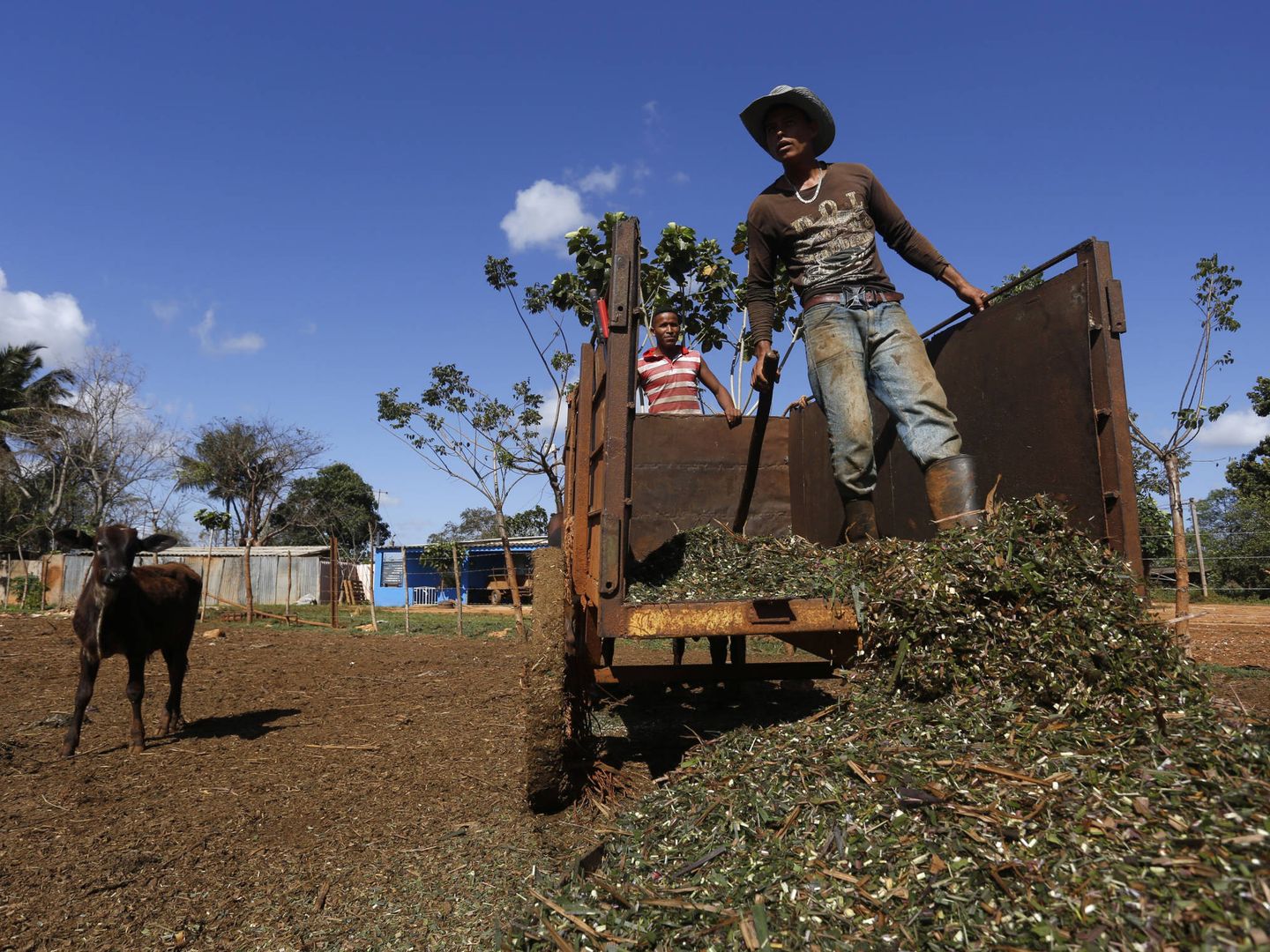 Un trabajador en un campo en Güira de Melena, en la provincia de Artemisa. (Reuters)