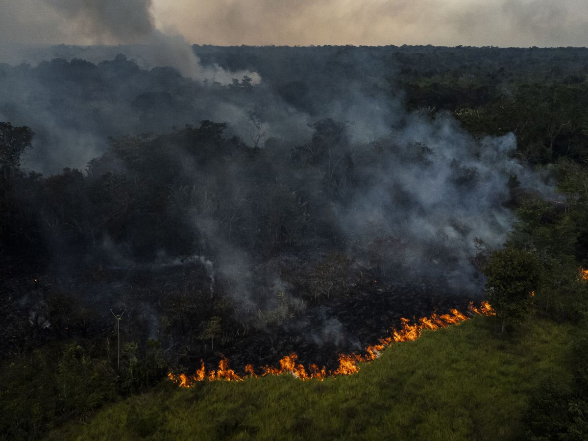 Foto: Imagen de archivo de un incendio forestal. (EFE/Raphael Alves)