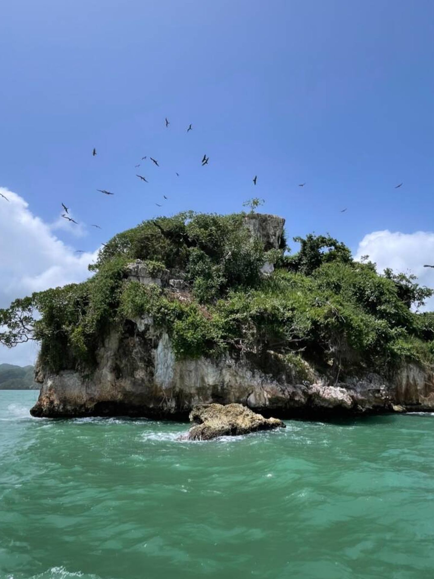 Cayo de los Pájaros, en Los Haitises. (Cortesía)